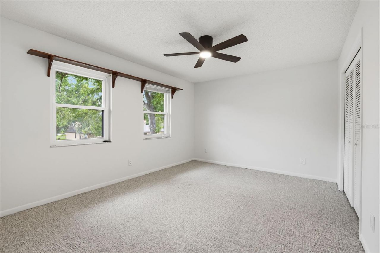 11007 Theresa Arbor Drive, Tampa, FL 33617 Photo