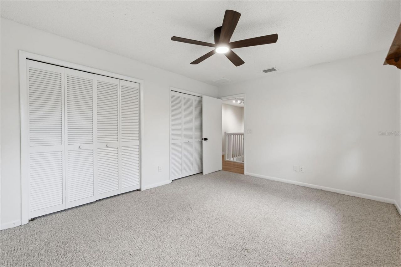 11007 Theresa Arbor Drive, Tampa, FL 33617 Photo