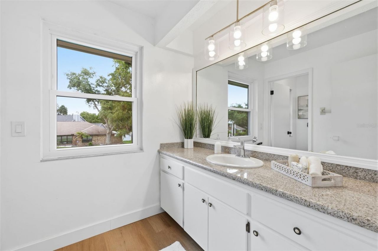 11007 Theresa Arbor Drive, Tampa, FL 33617 Photo