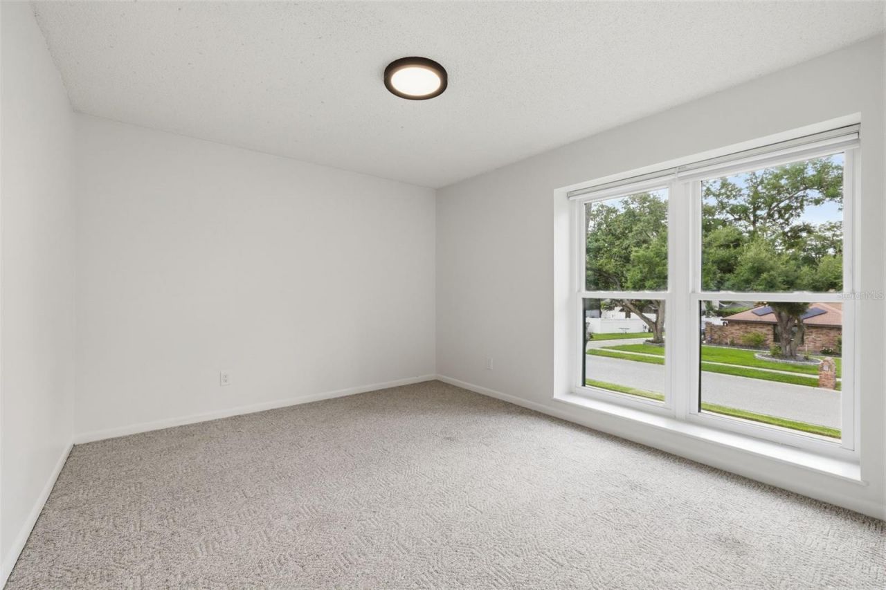 11007 Theresa Arbor Drive, Tampa, FL 33617 Photo