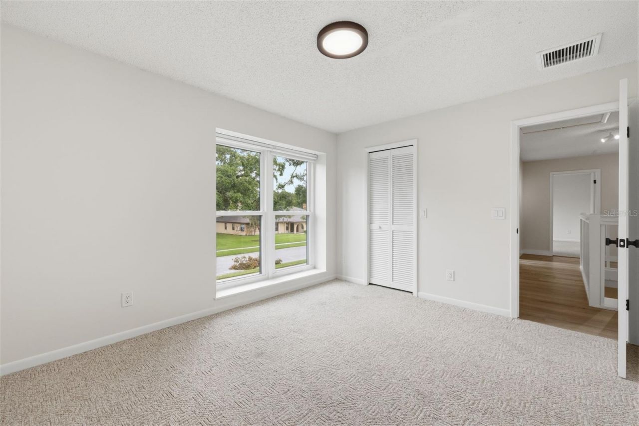 11007 Theresa Arbor Drive, Tampa, FL 33617 Photo