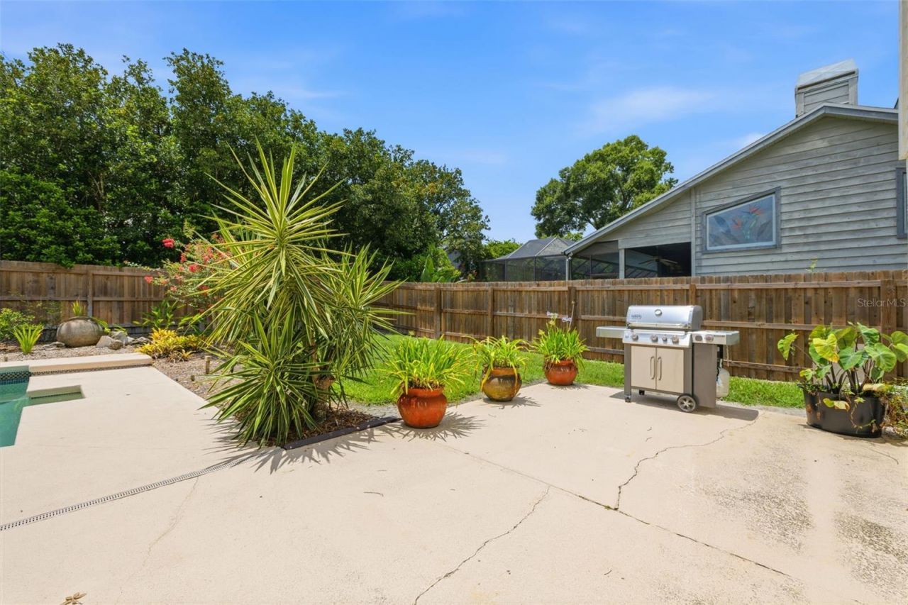 11007 Theresa Arbor Drive, Tampa, FL 33617 Photo