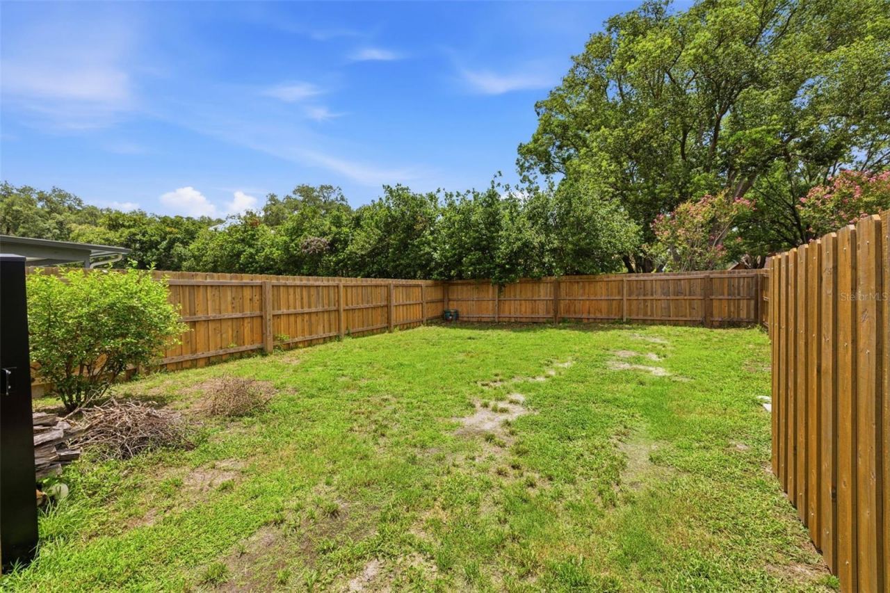 11007 Theresa Arbor Drive, Tampa, FL 33617 Photo