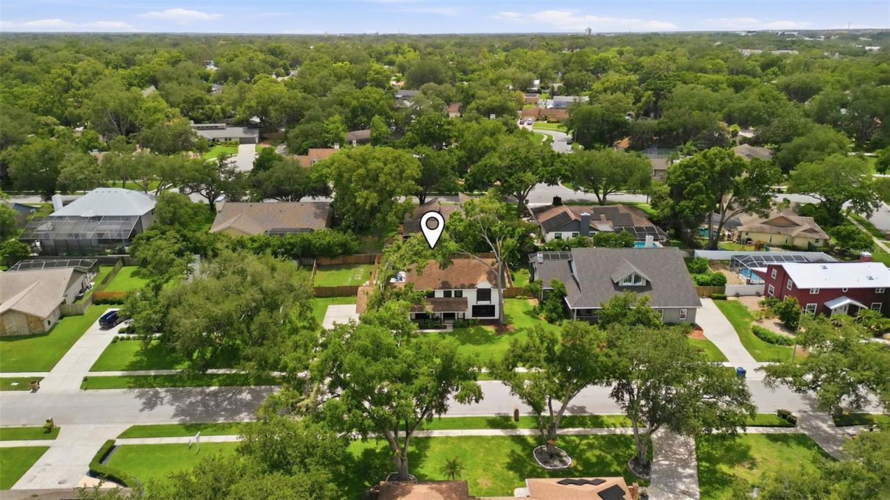 11007 Theresa Arbor Drive, Tampa, FL 33617 Photo