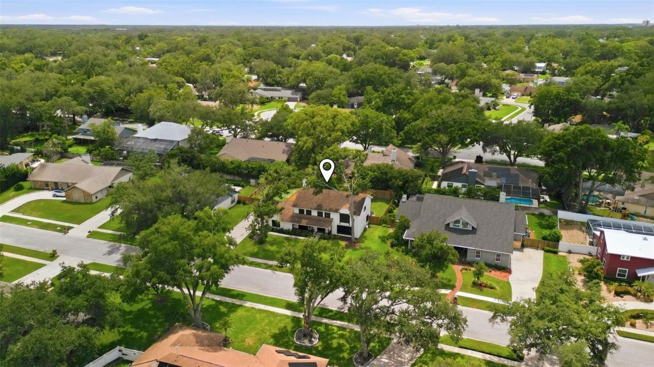 11007 Theresa Arbor Drive, Tampa, FL 33617 Photo