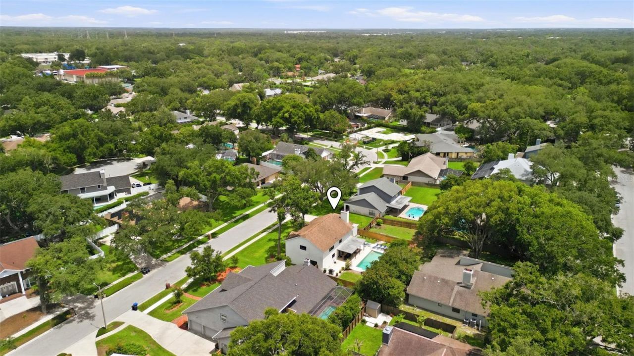 11007 Theresa Arbor Drive, Tampa, FL 33617 Photo
