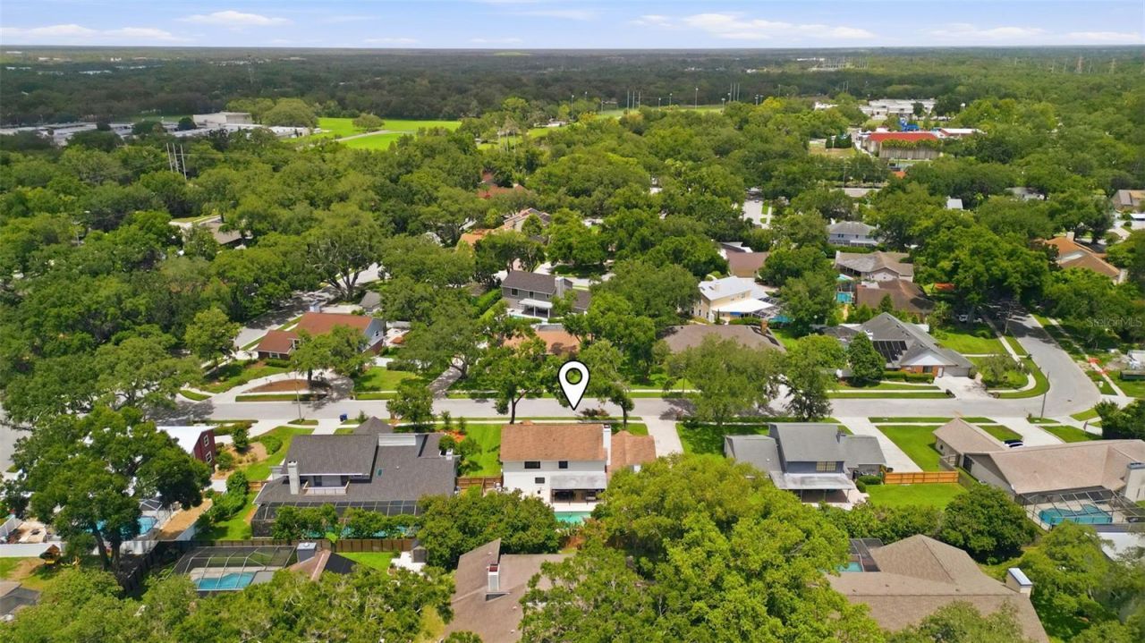 11007 Theresa Arbor Drive, Tampa, FL 33617 Photo