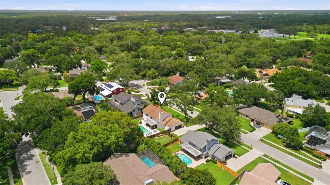11007 Theresa Arbor Drive, Tampa, FL 33617 Photo