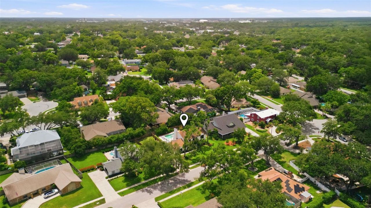 11007 Theresa Arbor Drive, Tampa, FL 33617 Photo