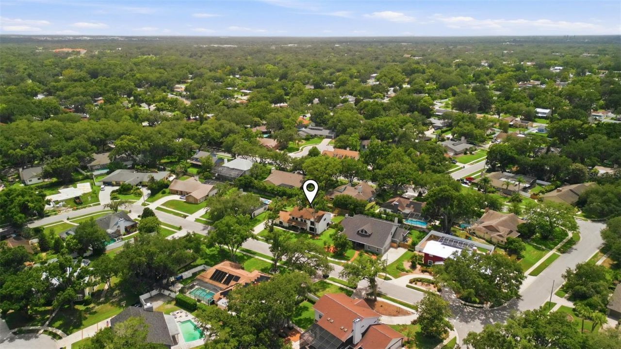 11007 Theresa Arbor Drive, Tampa, FL 33617 Photo