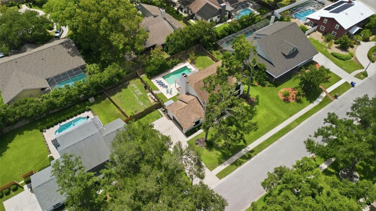 11007 Theresa Arbor Drive, Tampa, FL 33617 Photo