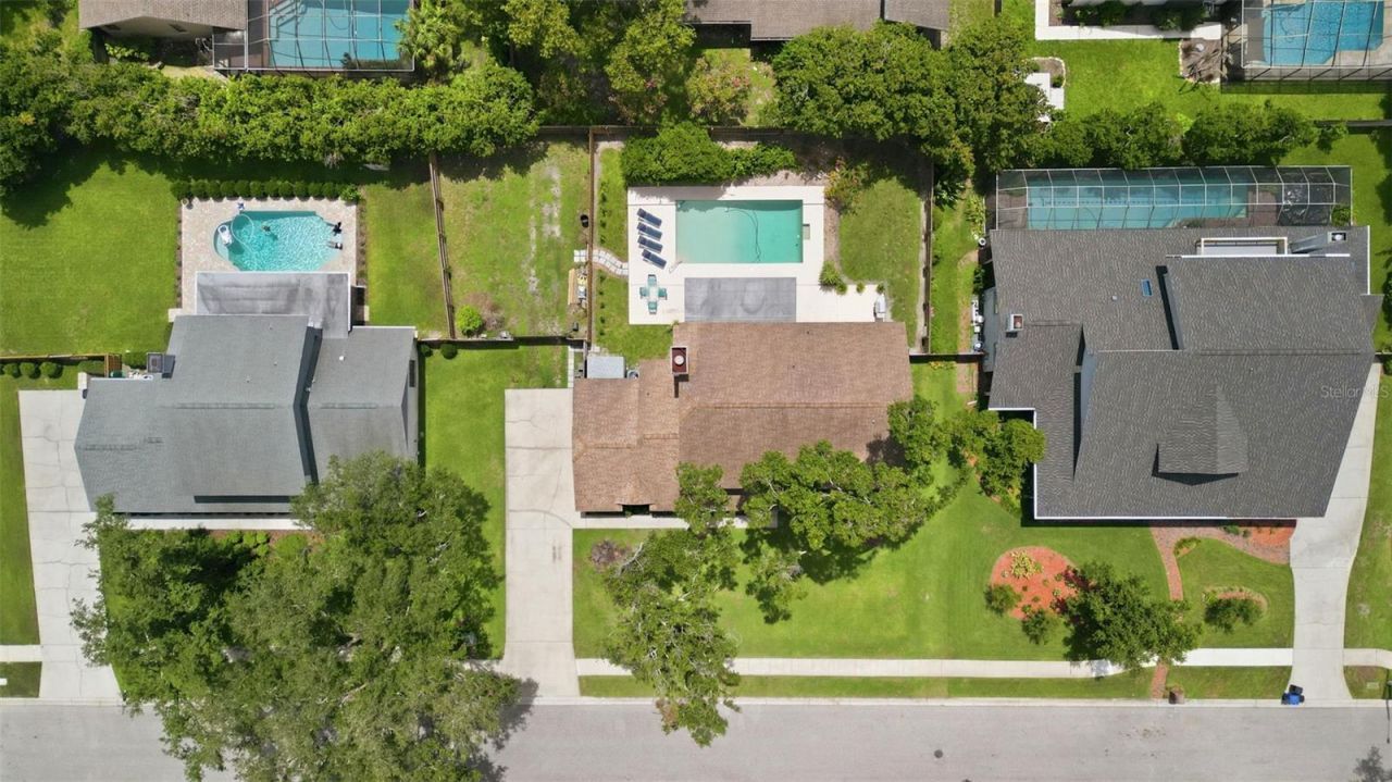 11007 Theresa Arbor Drive, Tampa, FL 33617 Photo