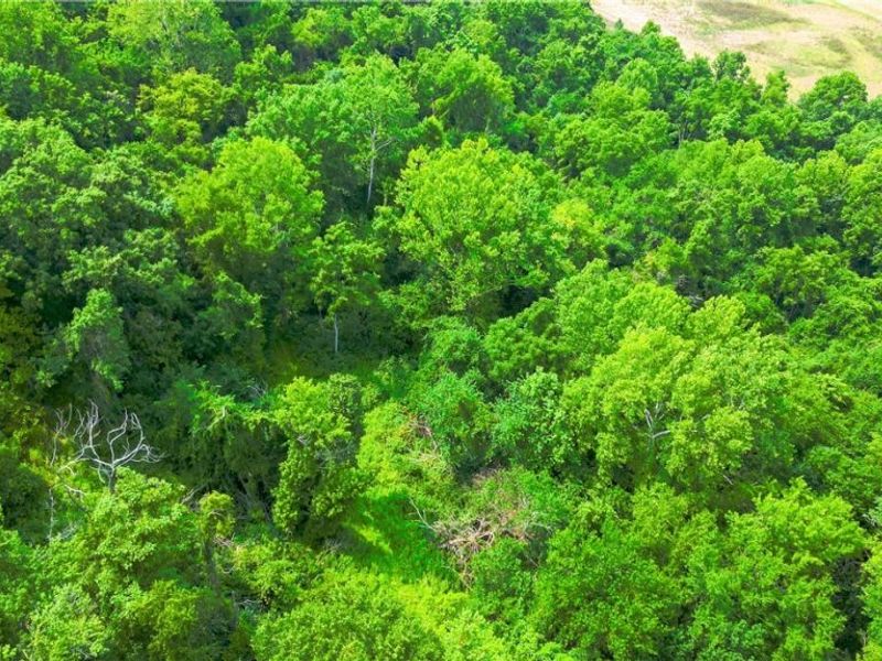 Davis Ridge, Caldwell, OH 43724 Photo 10