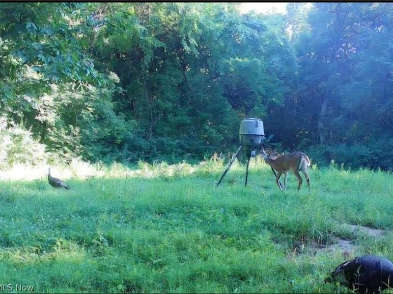 Davis Ridge, Caldwell, OH 43724 Photo 14