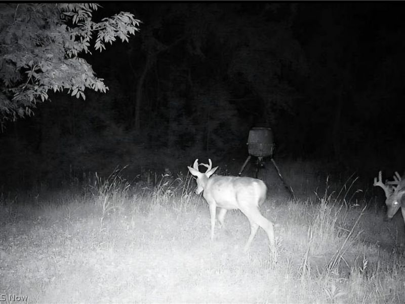 Davis Ridge, Caldwell, OH 43724 Photo 17