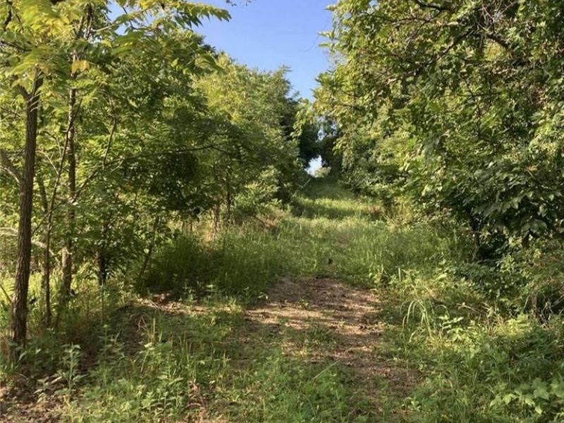 Davis Ridge, Caldwell, OH 43724 Photo 19
