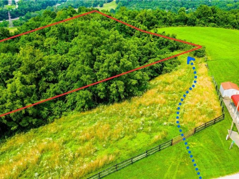 Davis Ridge, Caldwell, OH 43724 Photo 2