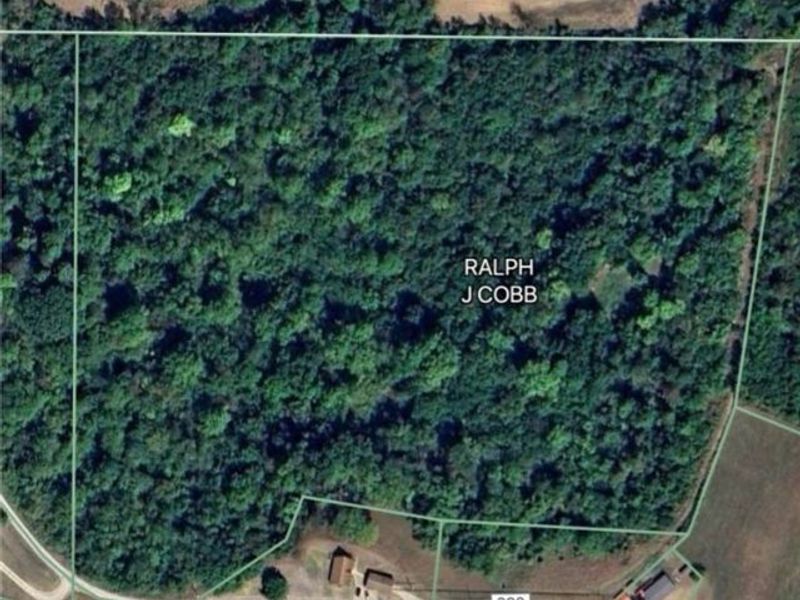 Davis Ridge, Caldwell, OH 43724 Photo 22