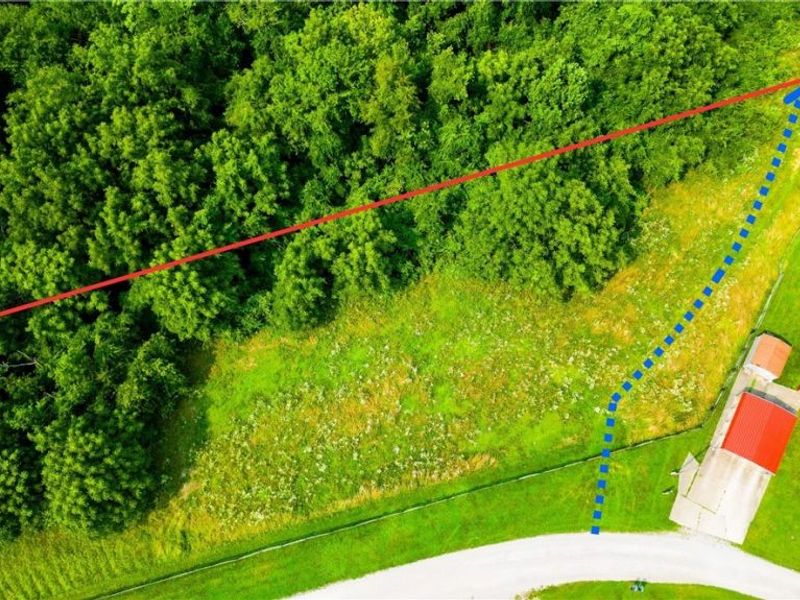 Davis Ridge, Caldwell, OH 43724 Photo 3