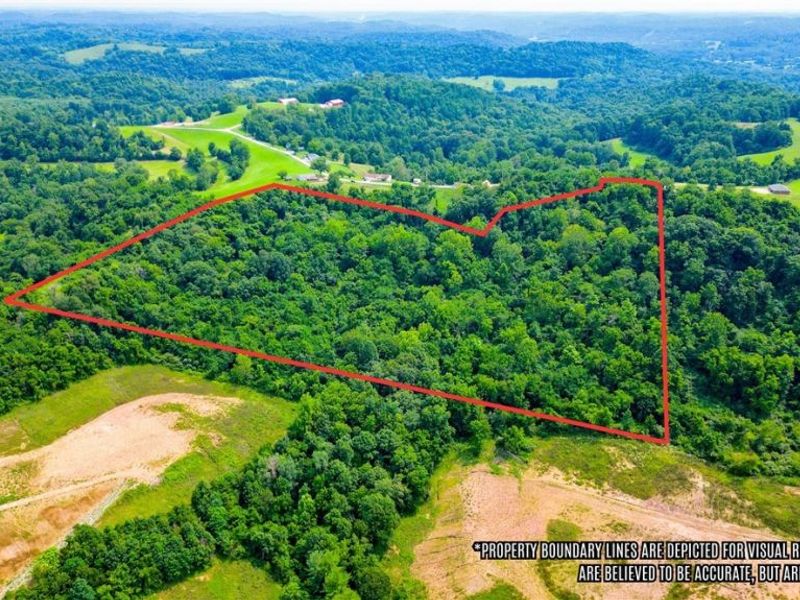 Davis Ridge, Caldwell, OH 43724 Photo 8