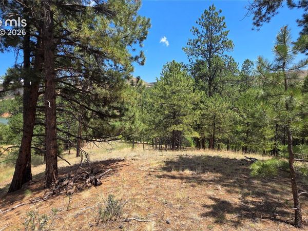 15394 Westcreek Road, Woodland Park, CO 80863