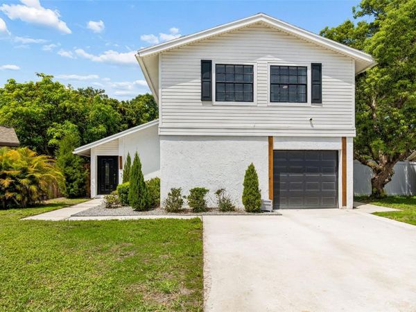 5114 STONEHAVEN COURT , TAMPA, FL 33624