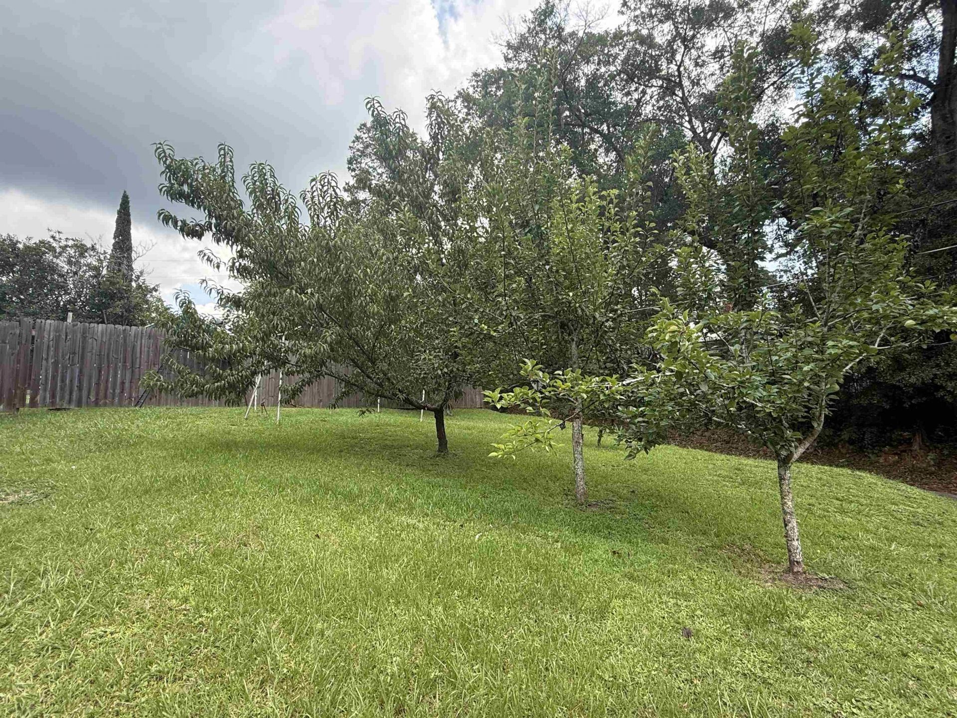 607 N Adams Street , Quincy, FL 32351 Photo