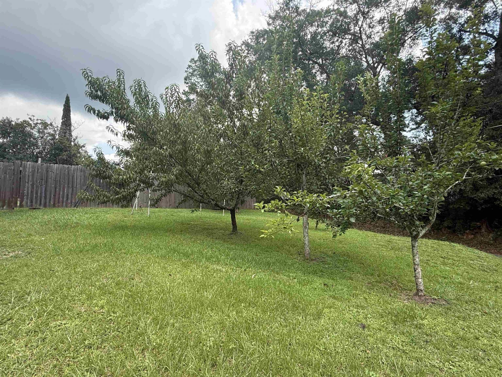 607 N Adams Street , Quincy, FL 32351 Photo