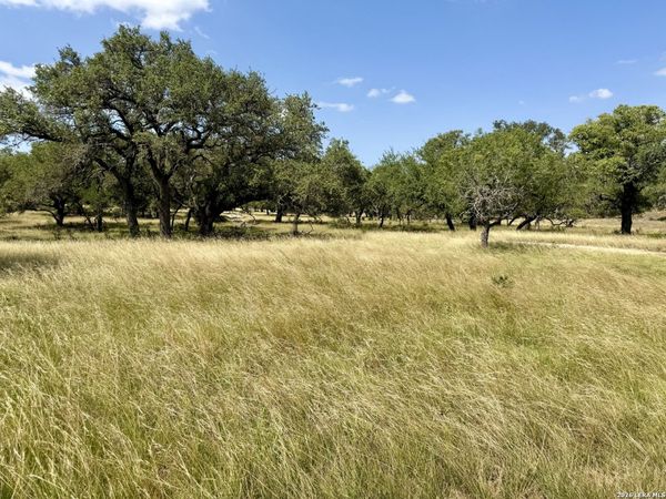 43 ACRES Sattler Rd., Spring Branch, TX 78070