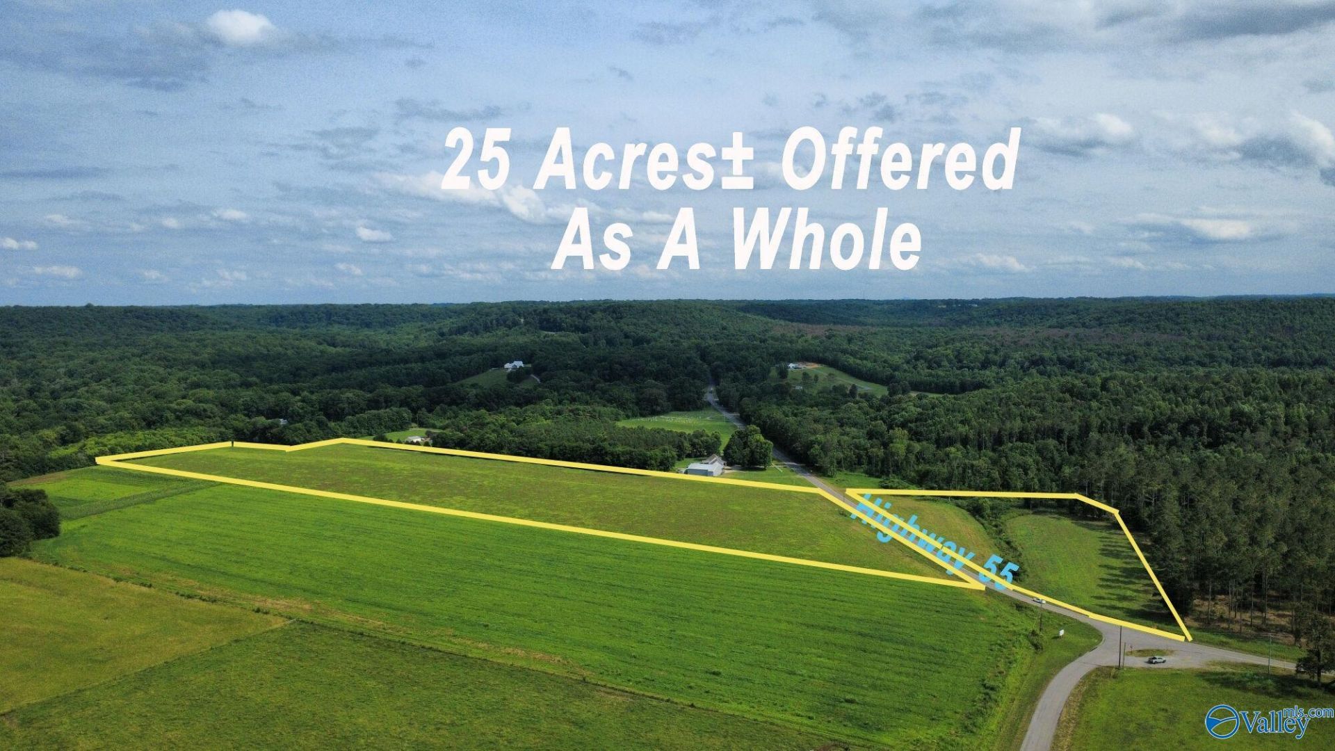 25 +/- Acres Highway 55 E, Falkville, AL 35622 Main Photo