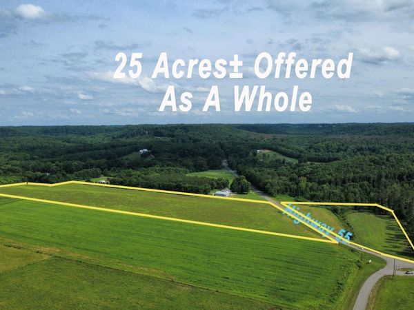 25 +/- Acres Highway 55 E, Falkville, AL 35622
