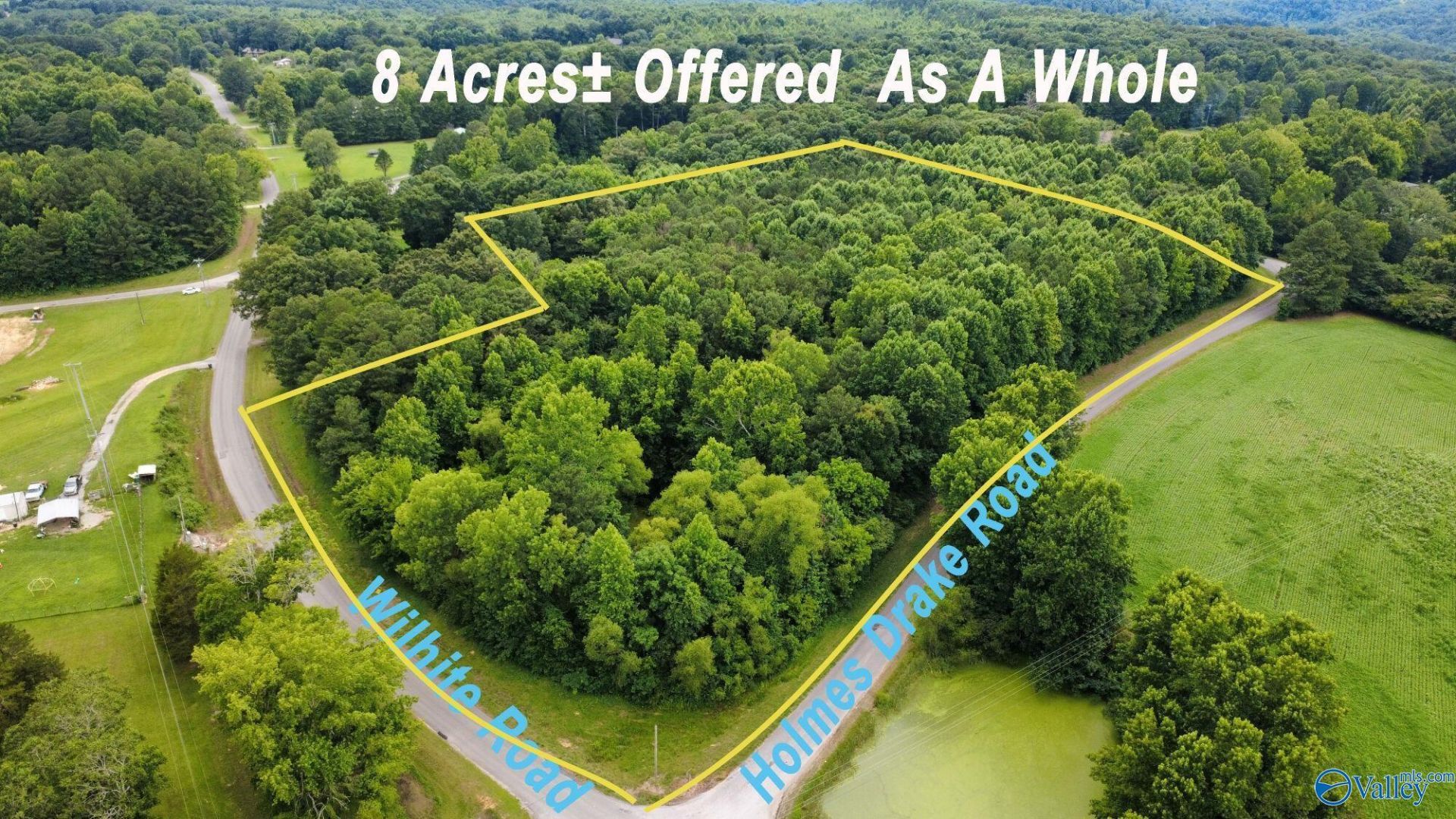 8 +/- Acres Holmes Drake Road, Falkville, AL 35622 Main Photo