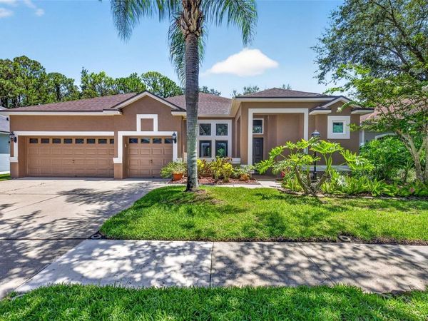 10737 AYRSHIRE DRIVE, TAMPA, FL 33626