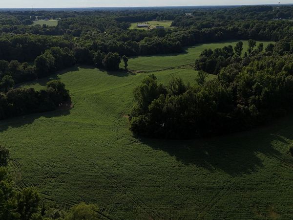 00 Watt Boone Road , Medina, TN 38355
