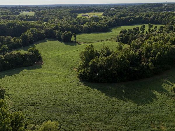 00 Watt Boone Road , Medina, TN 38355