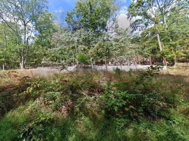 2012 GORE DRIVE, HAYMARKET, VA 20169