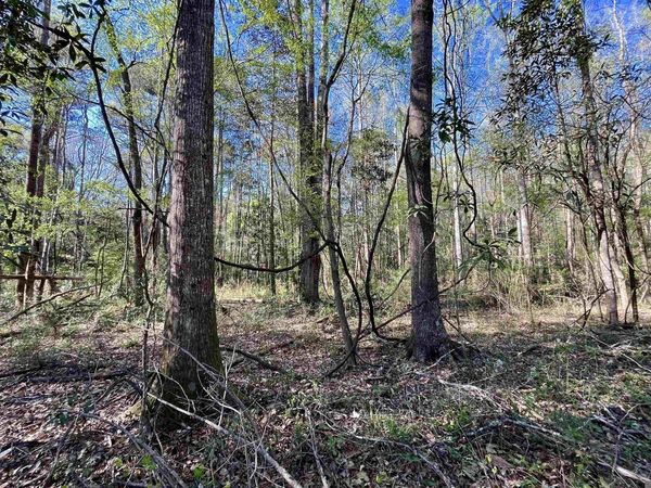 40 Lillian Ln, Ethel, LA 70730