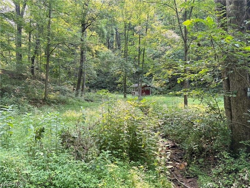 0 Twp Road 369 , Clarington, OH 43915 Photo 3