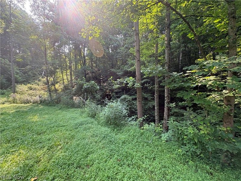 0 Twp Road 369 , Clarington, OH 43915 Photo 4
