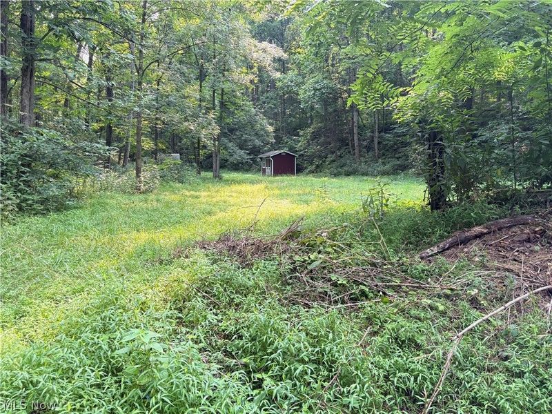 0 Twp Road 369 , Clarington, OH 43915 Photo 7