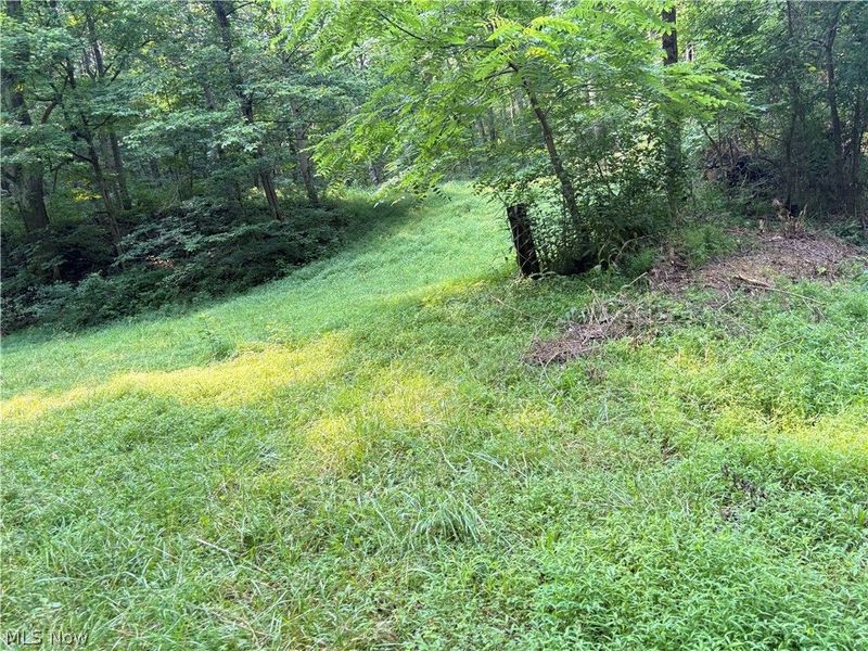 0 Twp Road 369 , Clarington, OH 43915 Photo 8
