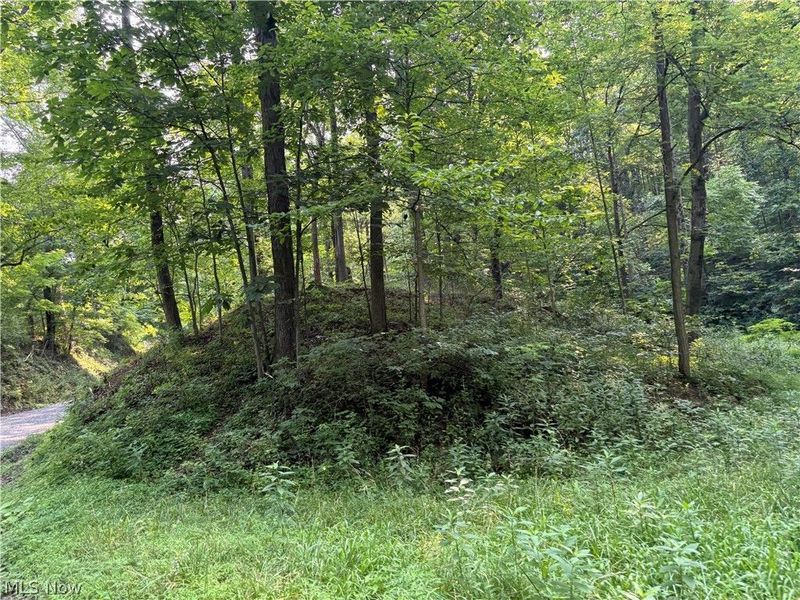 0 Twp Road 369 , Clarington, OH 43915 Photo 9