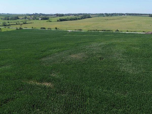 122 Acres Highway 21, Delta, IA 52550
