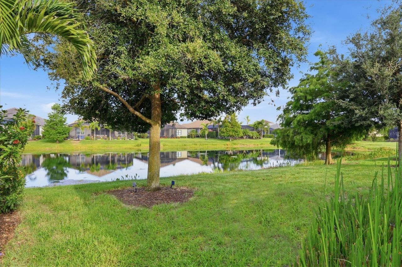 4209 Midnight Blue Run, Bradenton, FL 34211 Photo