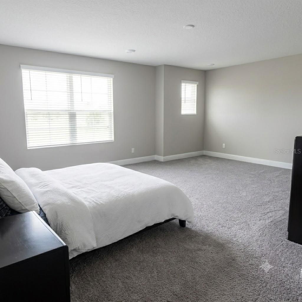 1952 Drummond Point , Wesley Chapel, FL 33543 Photo
