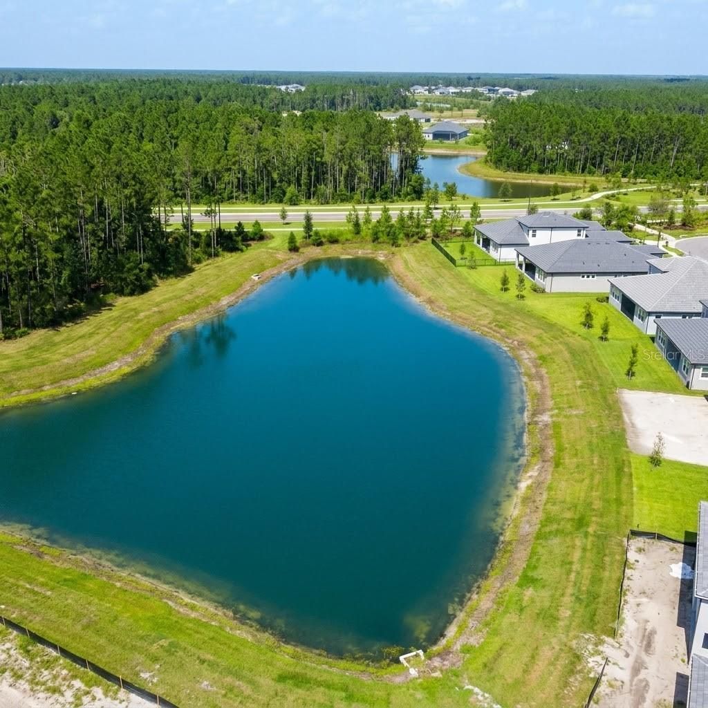 1952 Drummond Point , Wesley Chapel, FL 33543 Photo