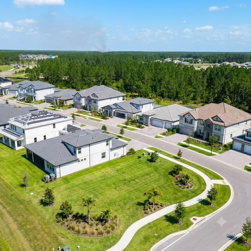 1952 Drummond Point, Wesley Chapel, FL 33543 Photo