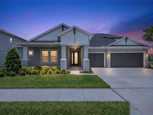 33875 CASTAWAY LOOP , WESLEY CHAPEL, FL 33543