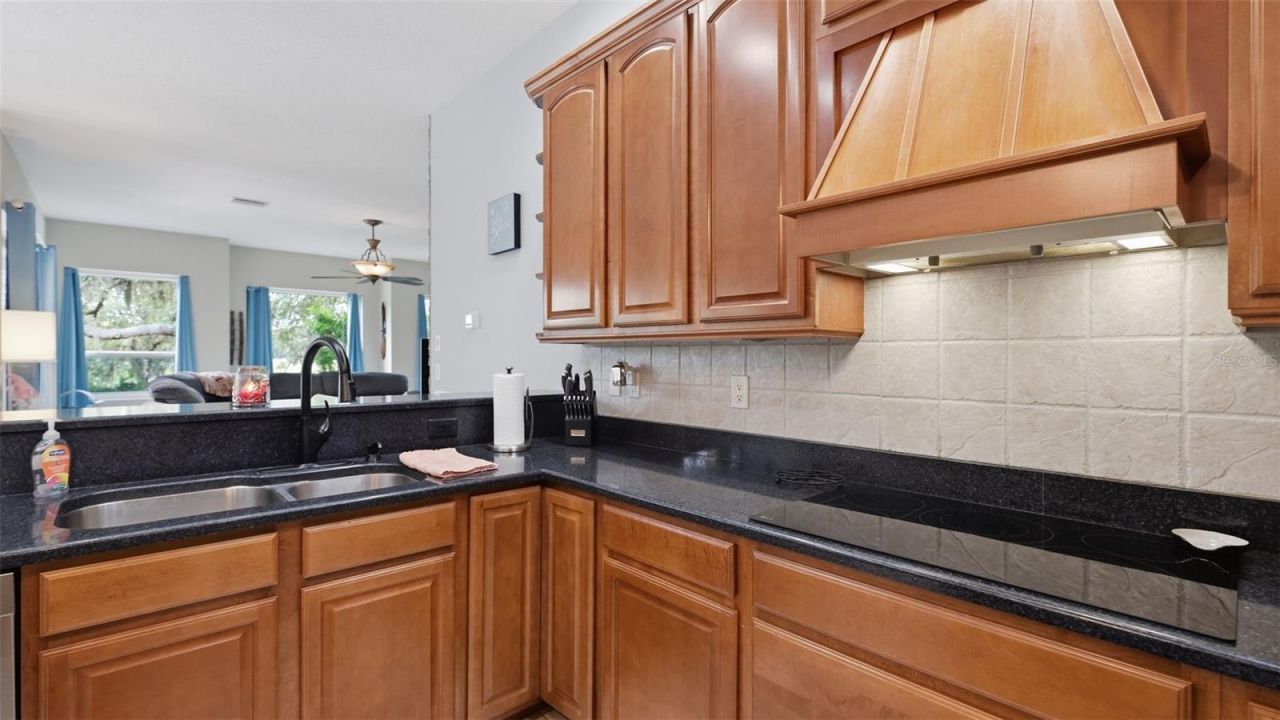 10400 Ramble Ridge Court, Weeki Wachee, FL 34613 Photo