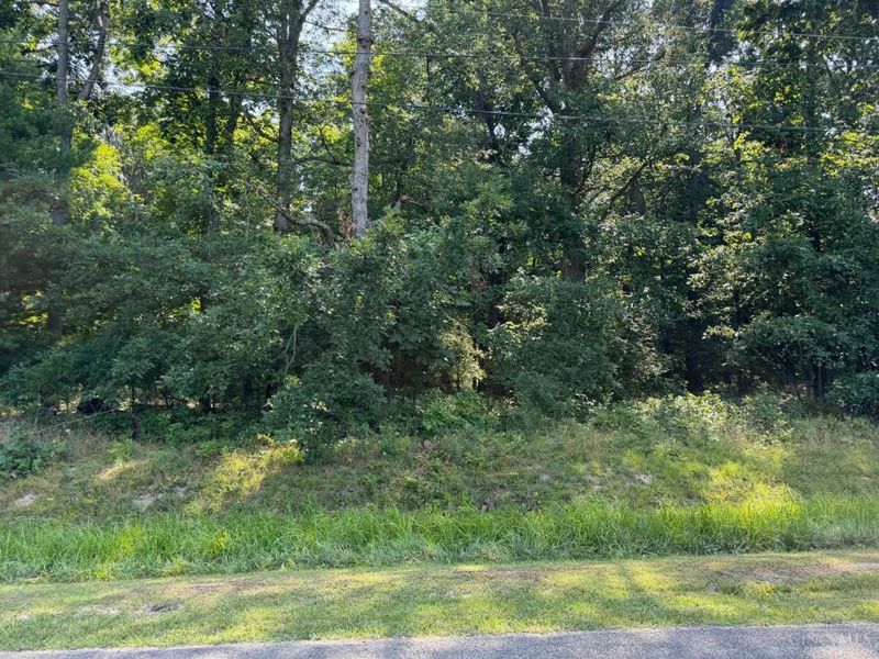 0 Brave Drive, Unit 1166R, Jackson Twp, OH 45171 Photo 2